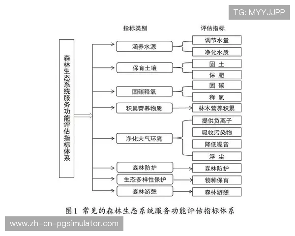社会价值评估引入,衡量赛事综合影响 社会价值评估引入,衡量赛事综合影响